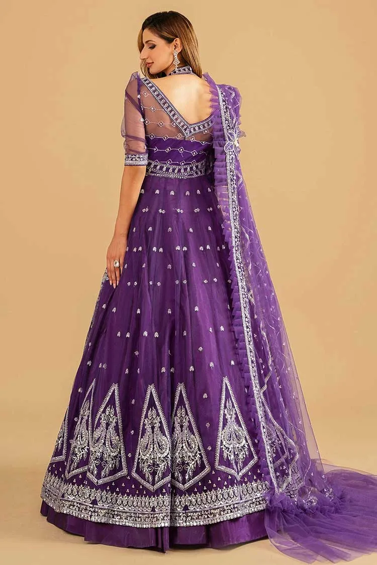 Bandhani (ANB 07) Barasti Festive Collection