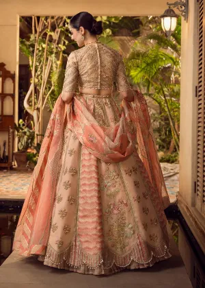 Crimson x Saira Shakira Wedding Collection`22 D#5