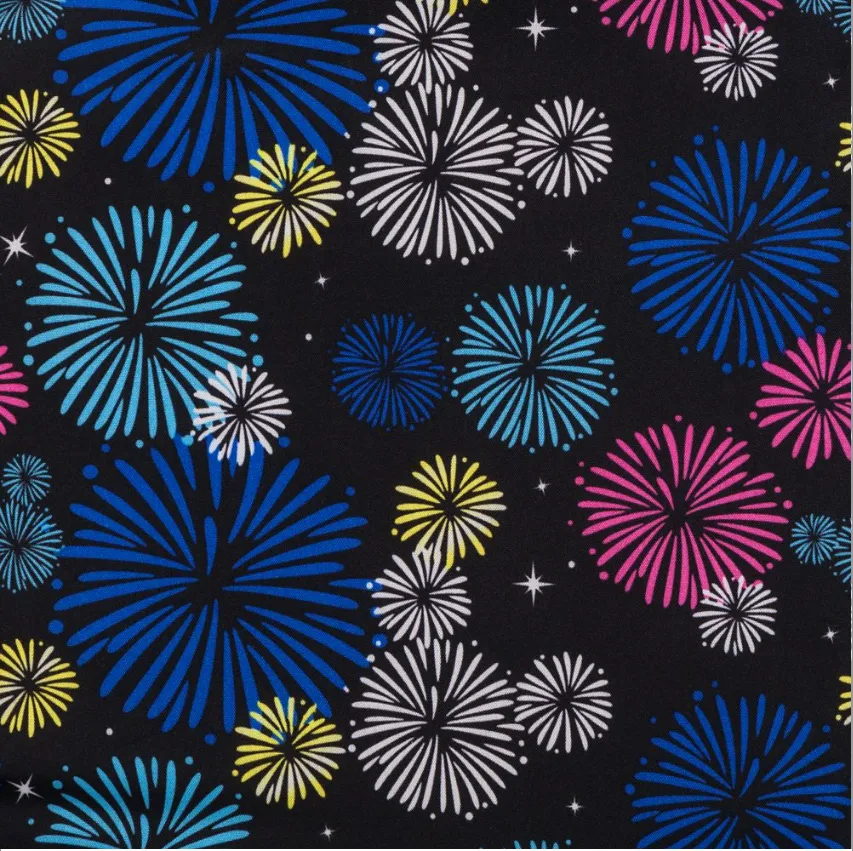Disney Mini Backpack Ears Key Set Mickey Mouse Cinderella's Castle Main Attraction Fireworks Loungefly