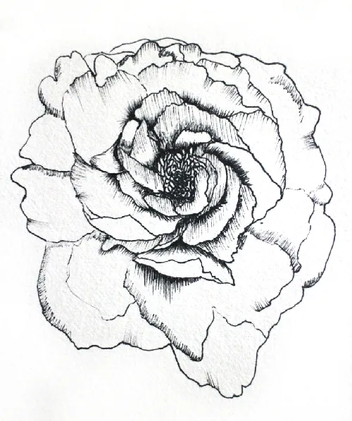 Envy Hold - Peony