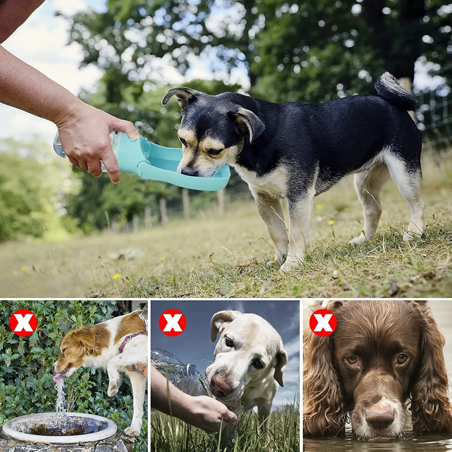 Foldable Dog Water Bottle