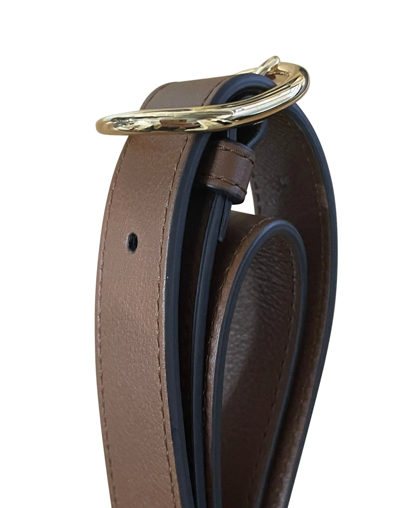 Gucci Medium Blondie Crossbody Bag in Brown Leather