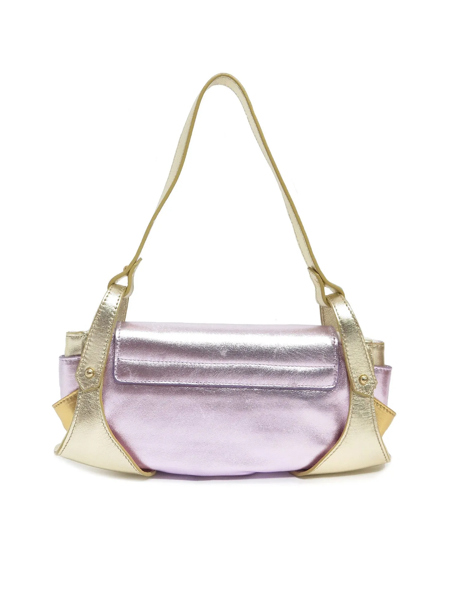 Metallic Leather Compilation Bag