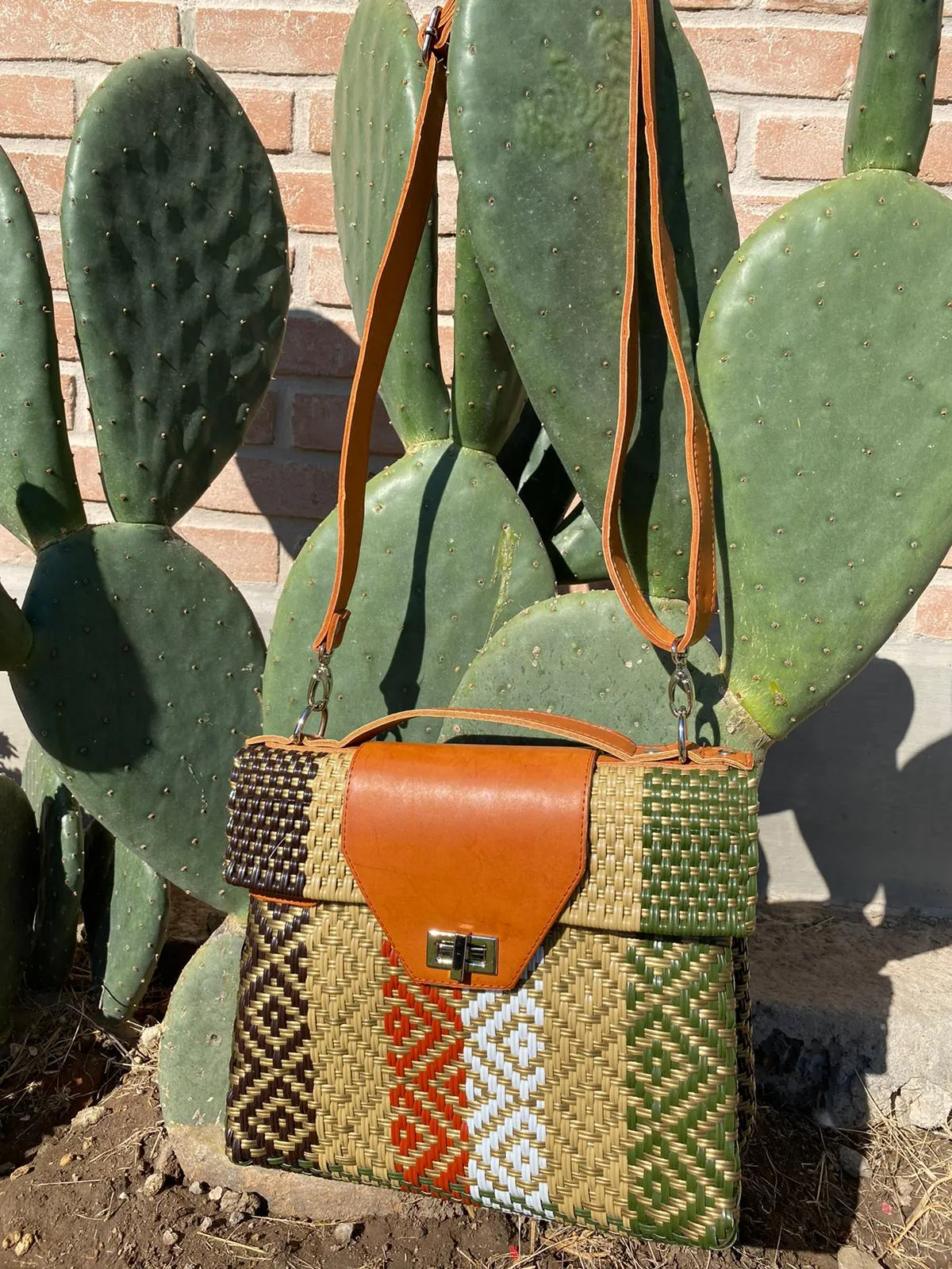 Portfolio Bag