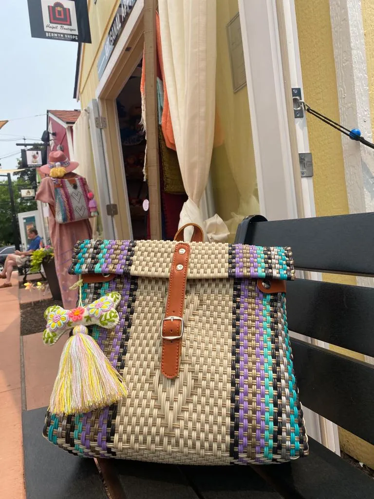 Portfolio Bag