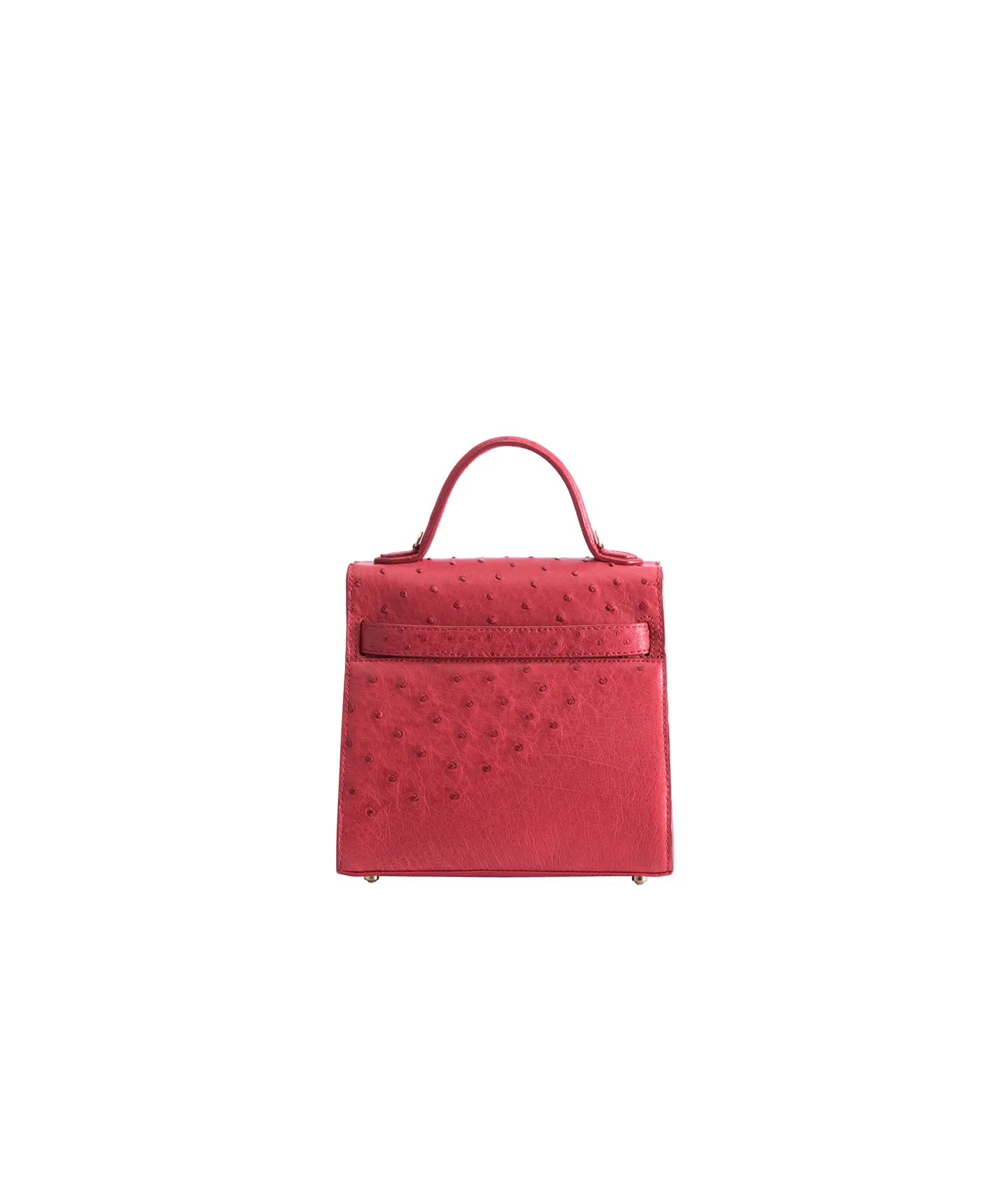 Red Ostrich | 'Isibambo' Top Handle Bag