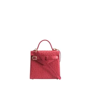 Red Ostrich | 'Isibambo' Top Handle Bag
