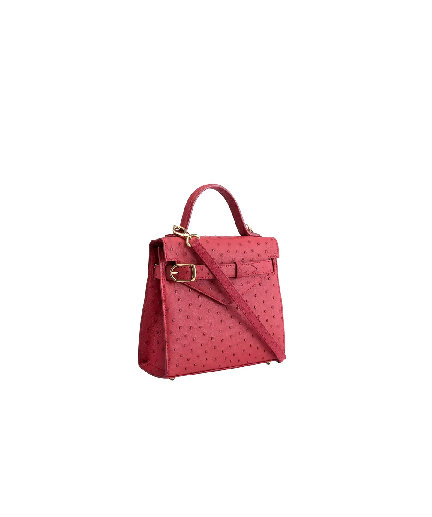 Red Ostrich | 'Isibambo' Top Handle Bag