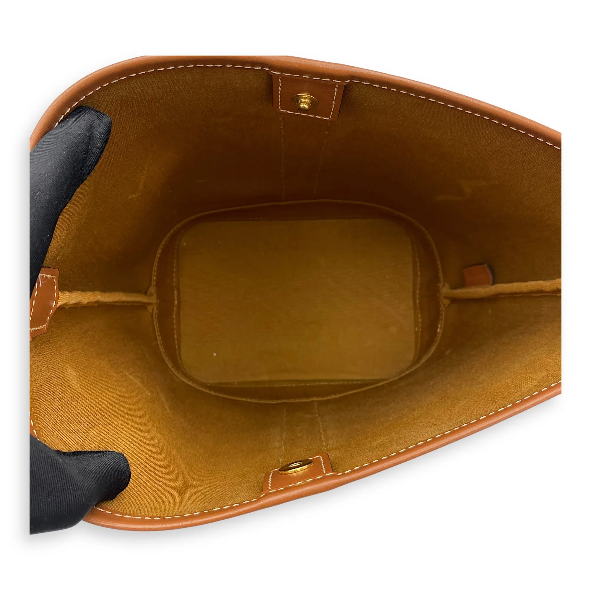 Triomphe Brown Bucket Bag in Coated Canvas, Gold hardware