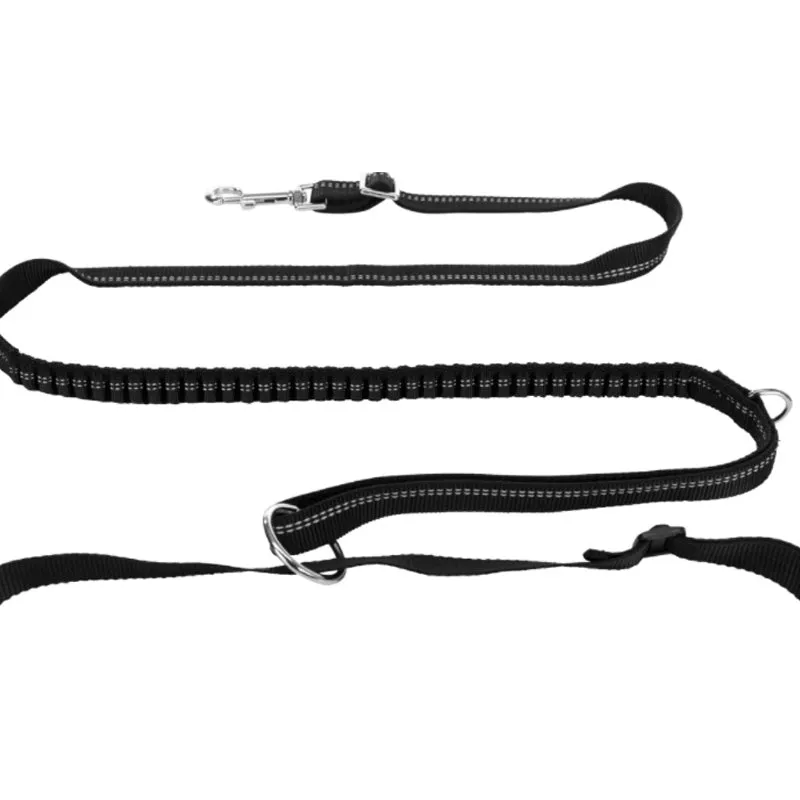 Trixie Jogging Belt with Lead
